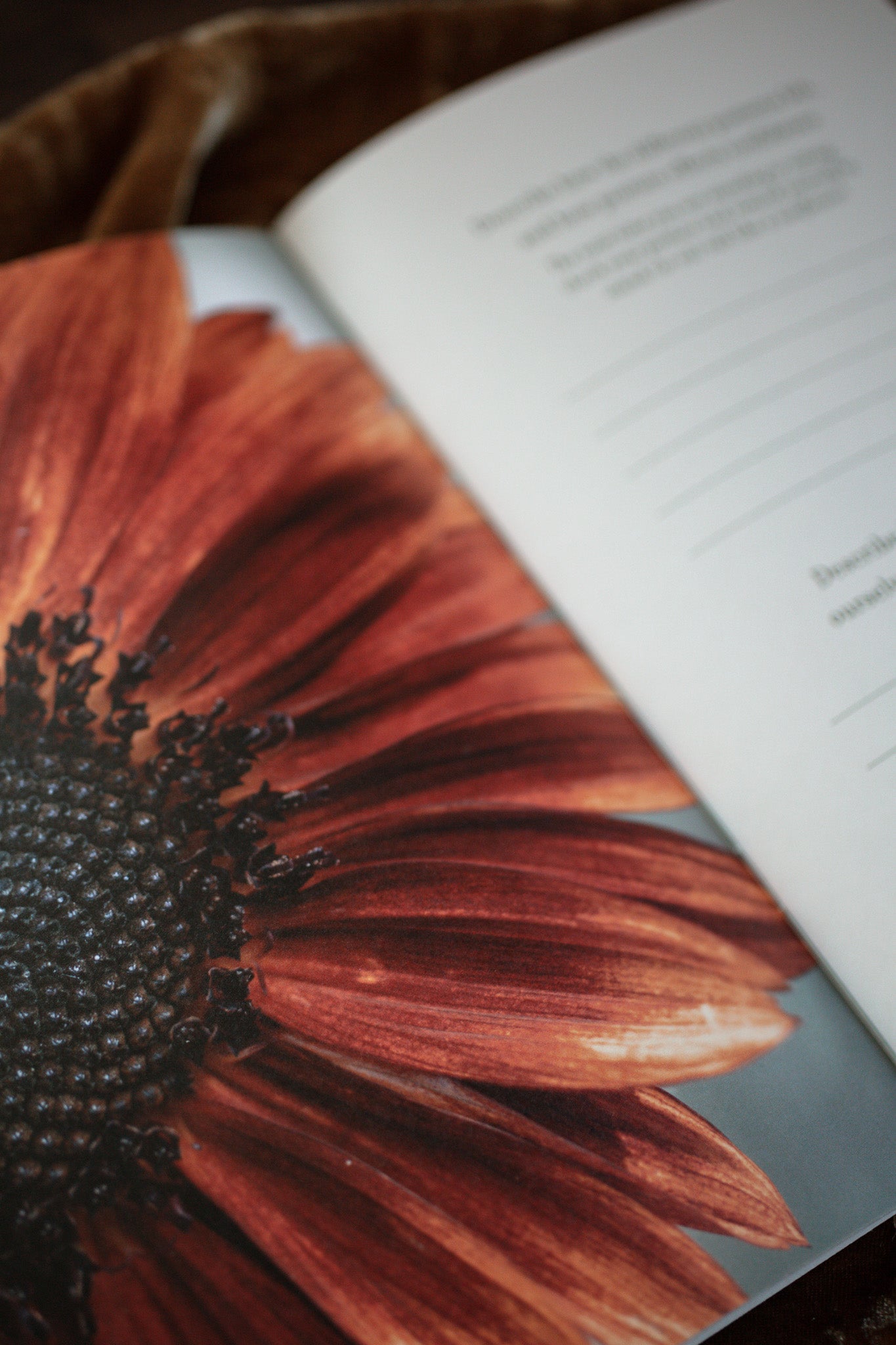 Stand Tall Like a Sunflower Seasonal Soul Box