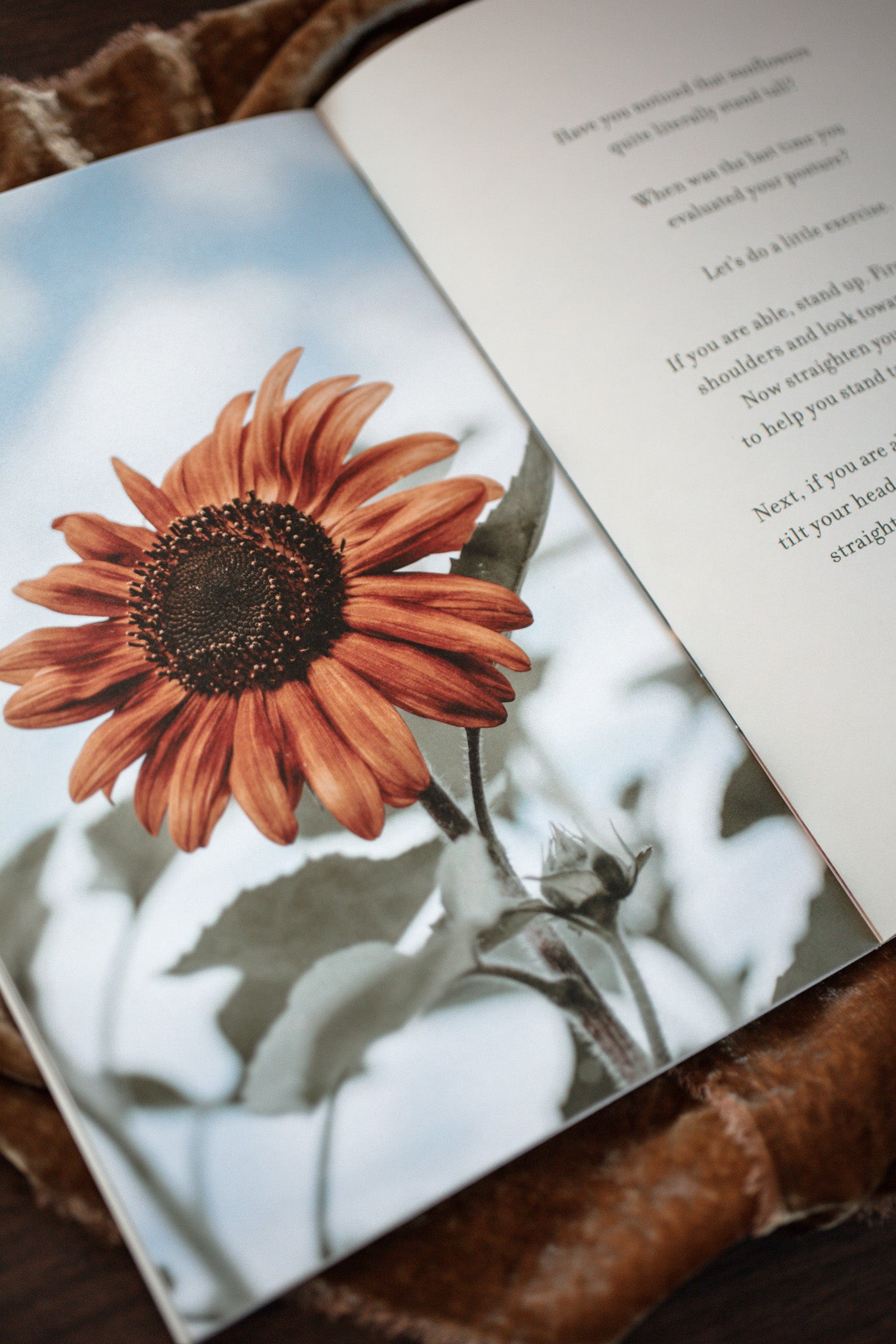 Stand Tall Like a Sunflower Seasonal Soul Box
