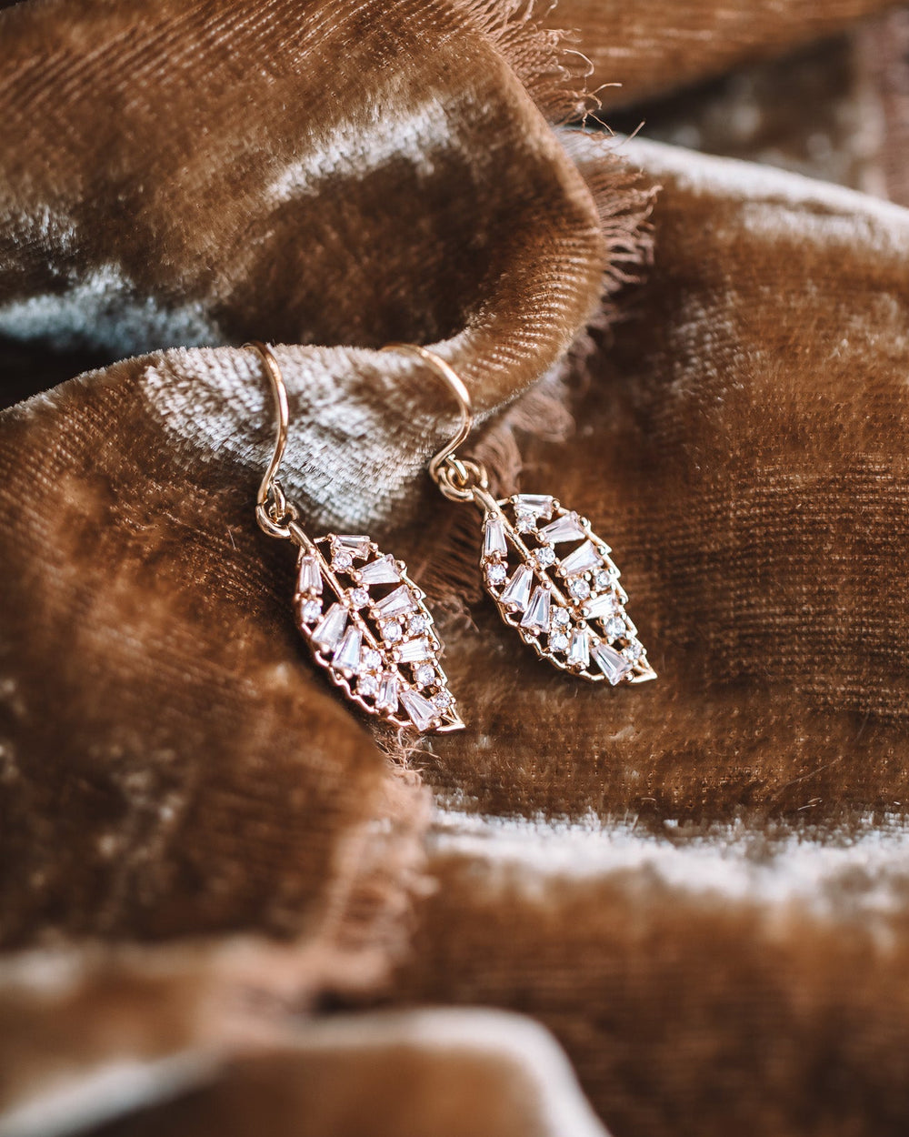 Frosted Autumn Leaves