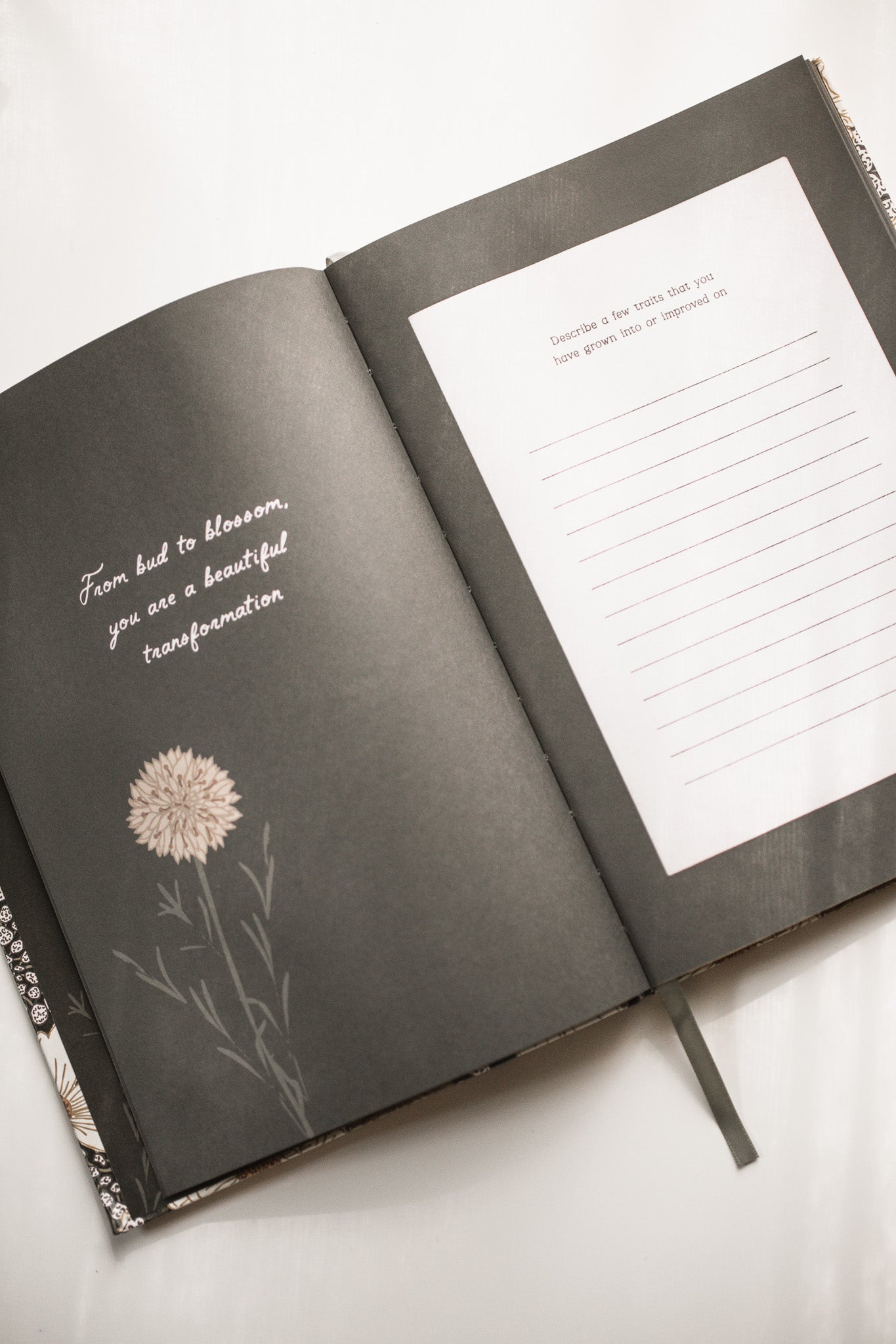 Reflections & Encouragement