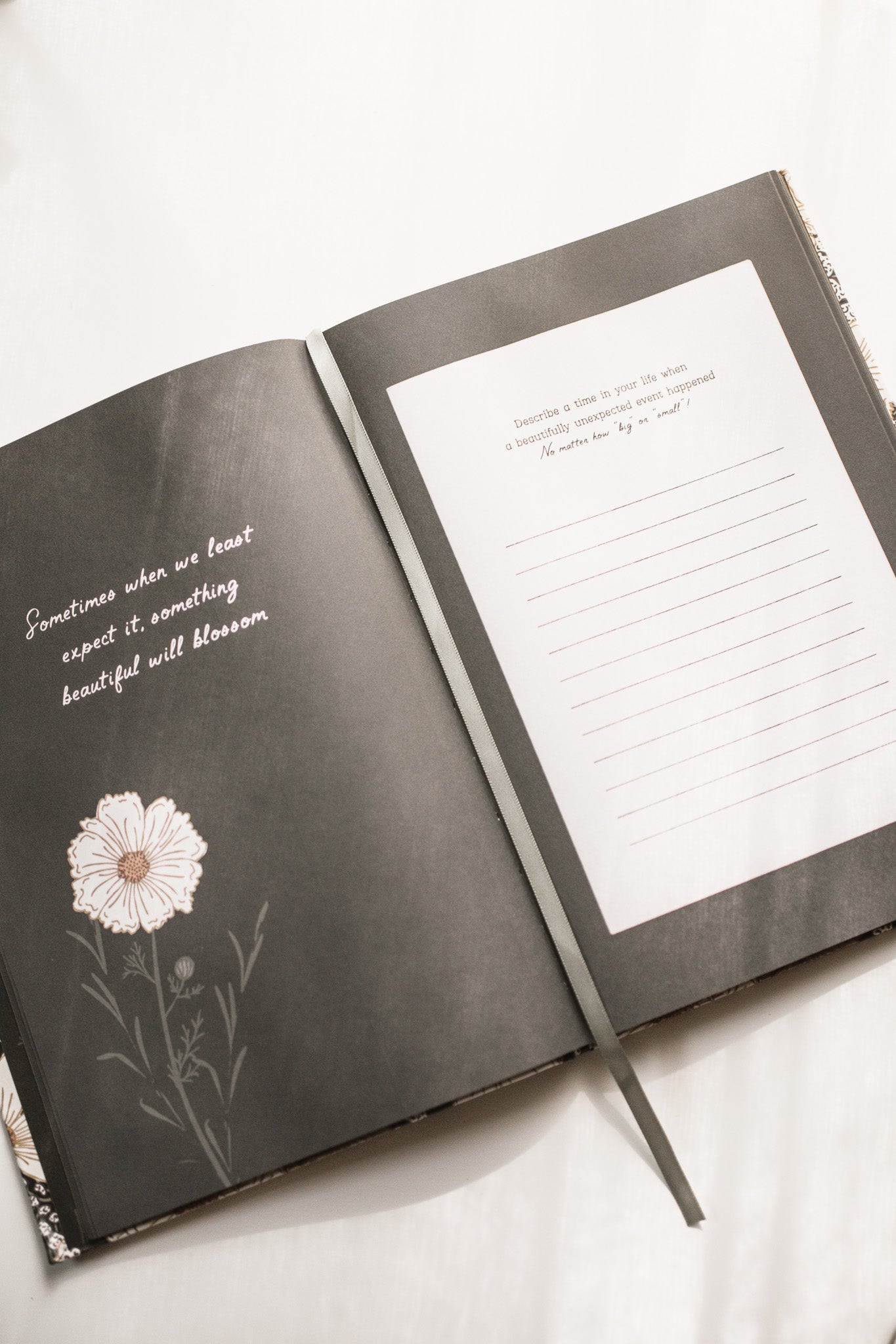 Reflections & Encouragement