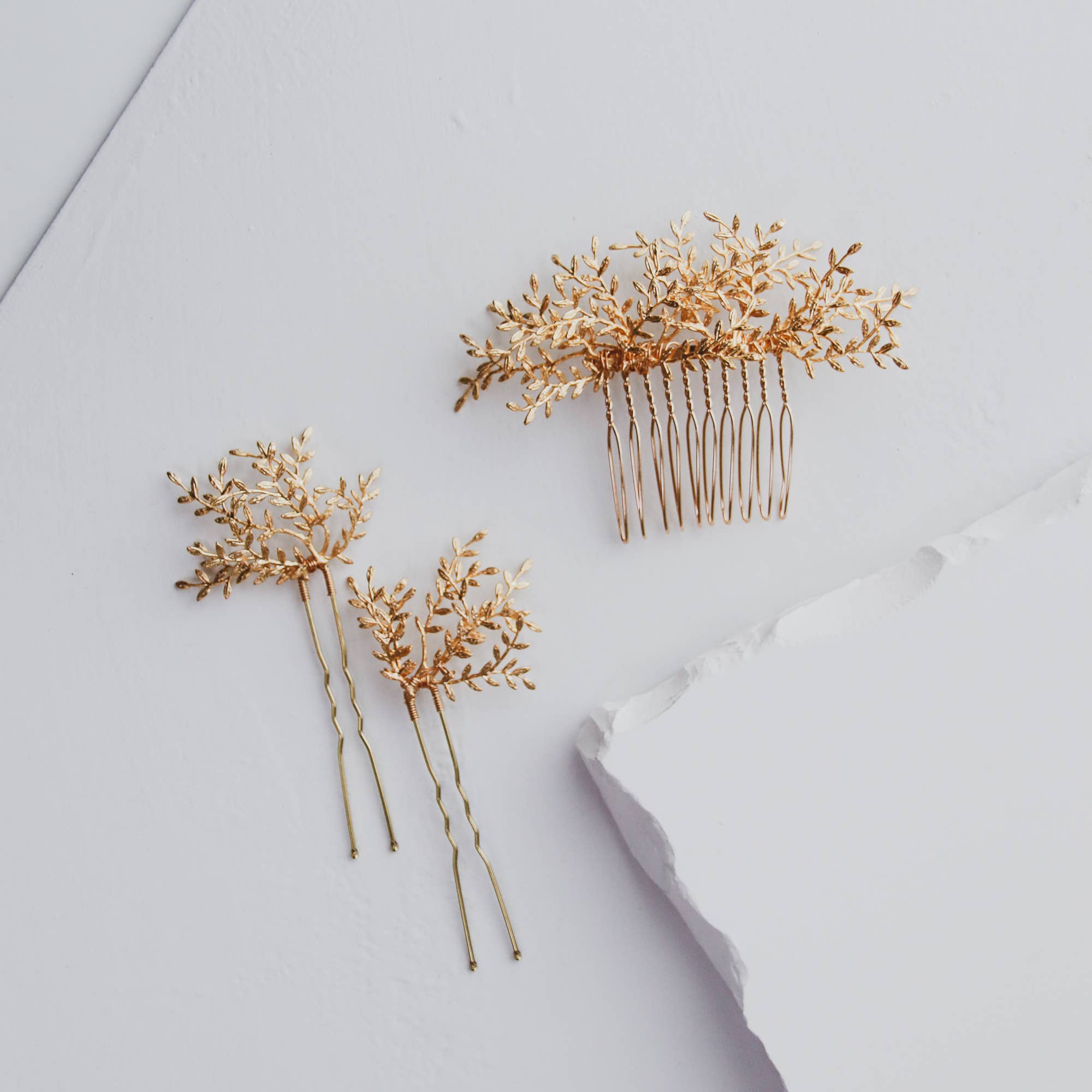 6c8a6f397d33525c632595505c76e94515e8a49fe80612c0c9d7f2bb58bc3808 12d0bdb0 b214 404f 8ffb eab93ec96bf9