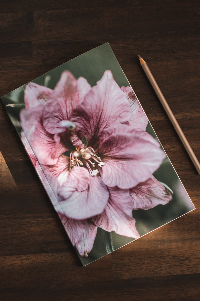 Larkspur Flowers Daily Intentions Journal