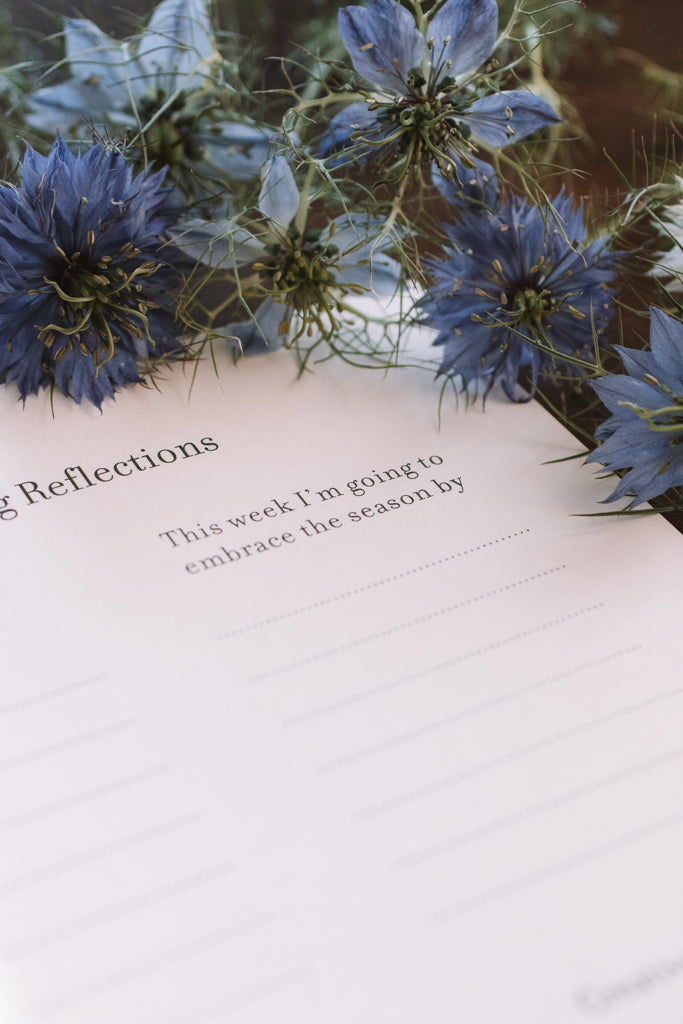 Larkspur Flowers Daily Intentions Journal