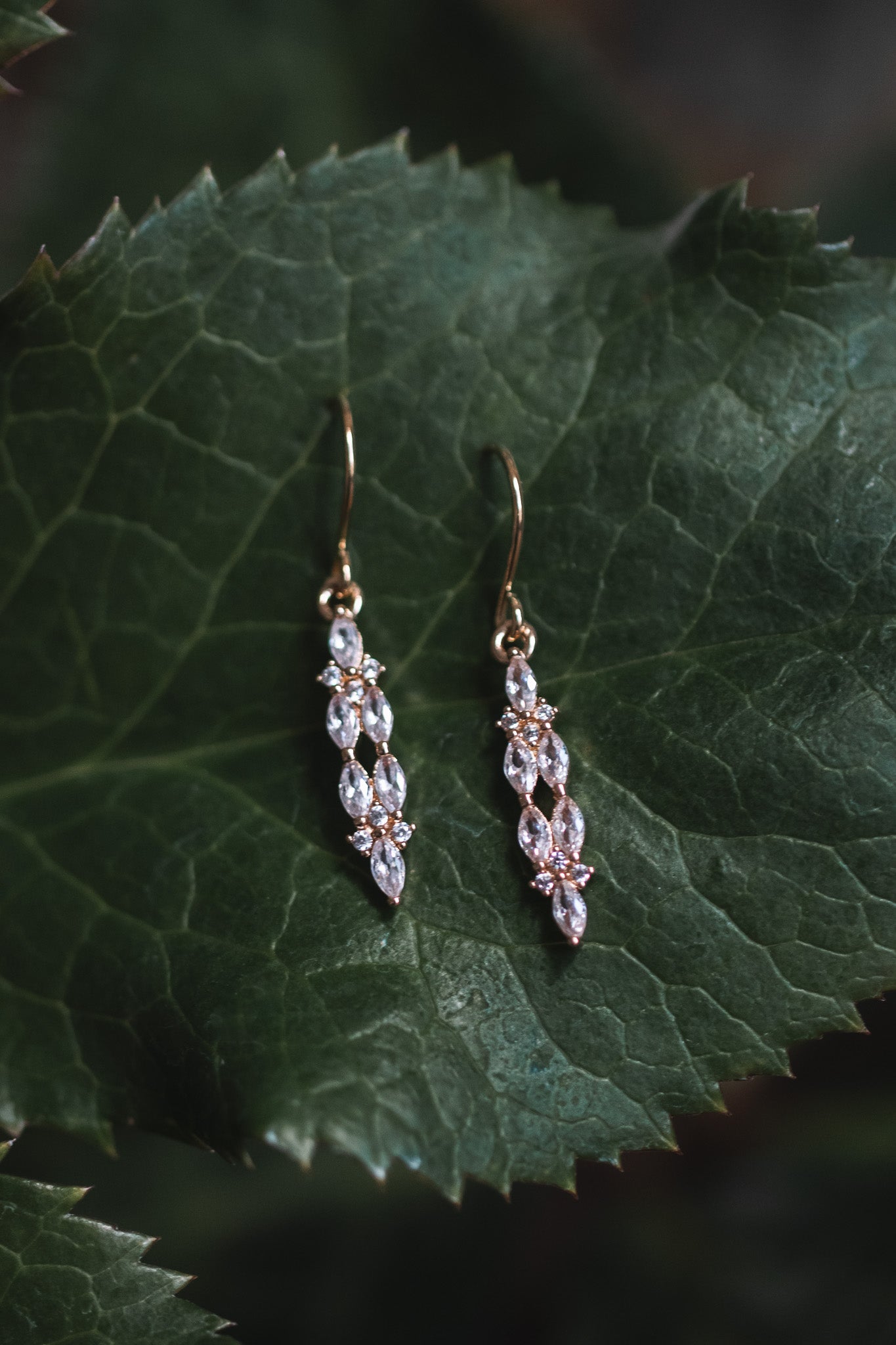 daintyicicles1