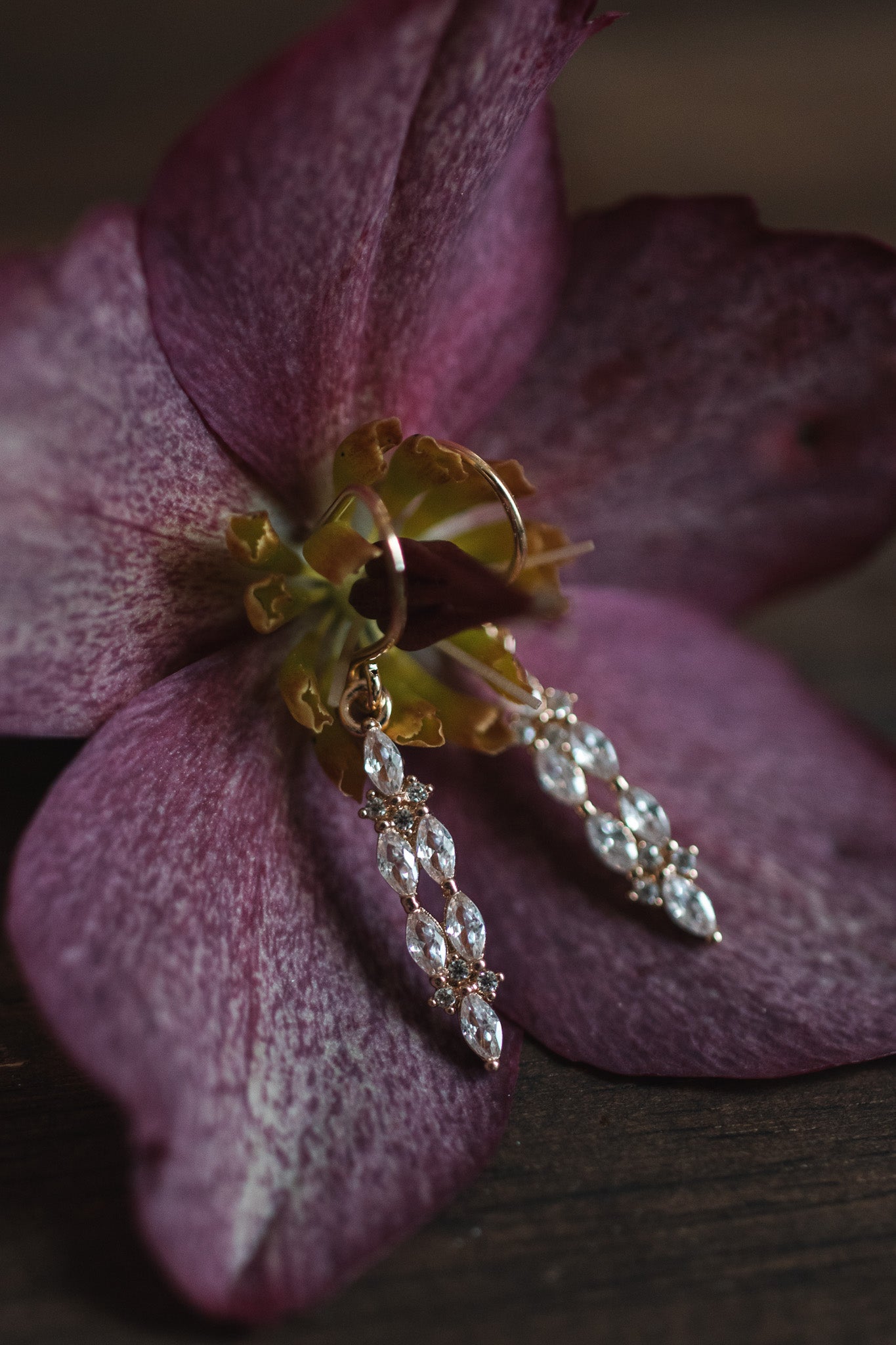 daintyicicles2