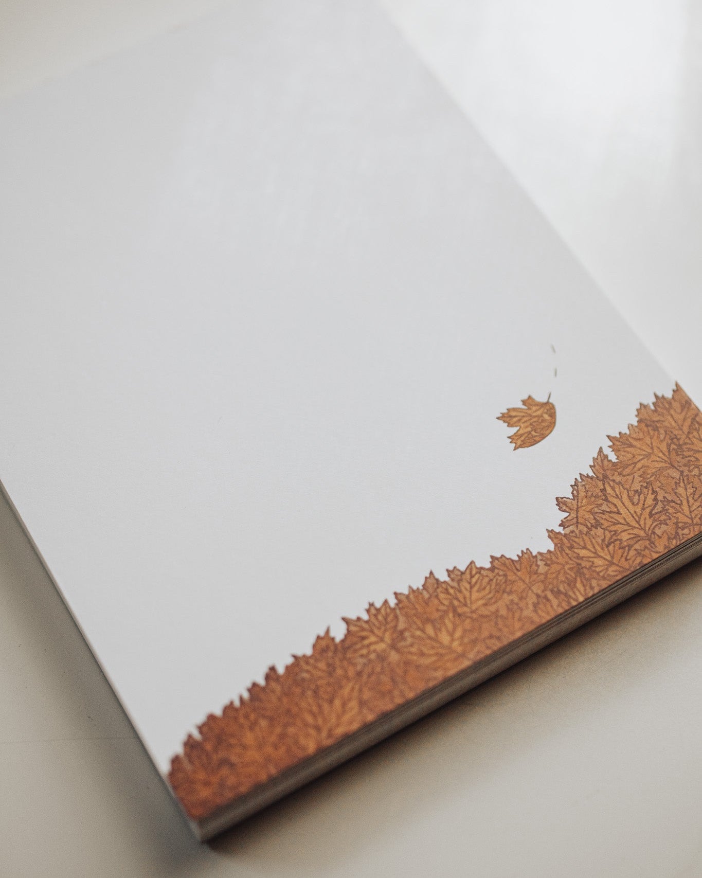 fallingleaves1