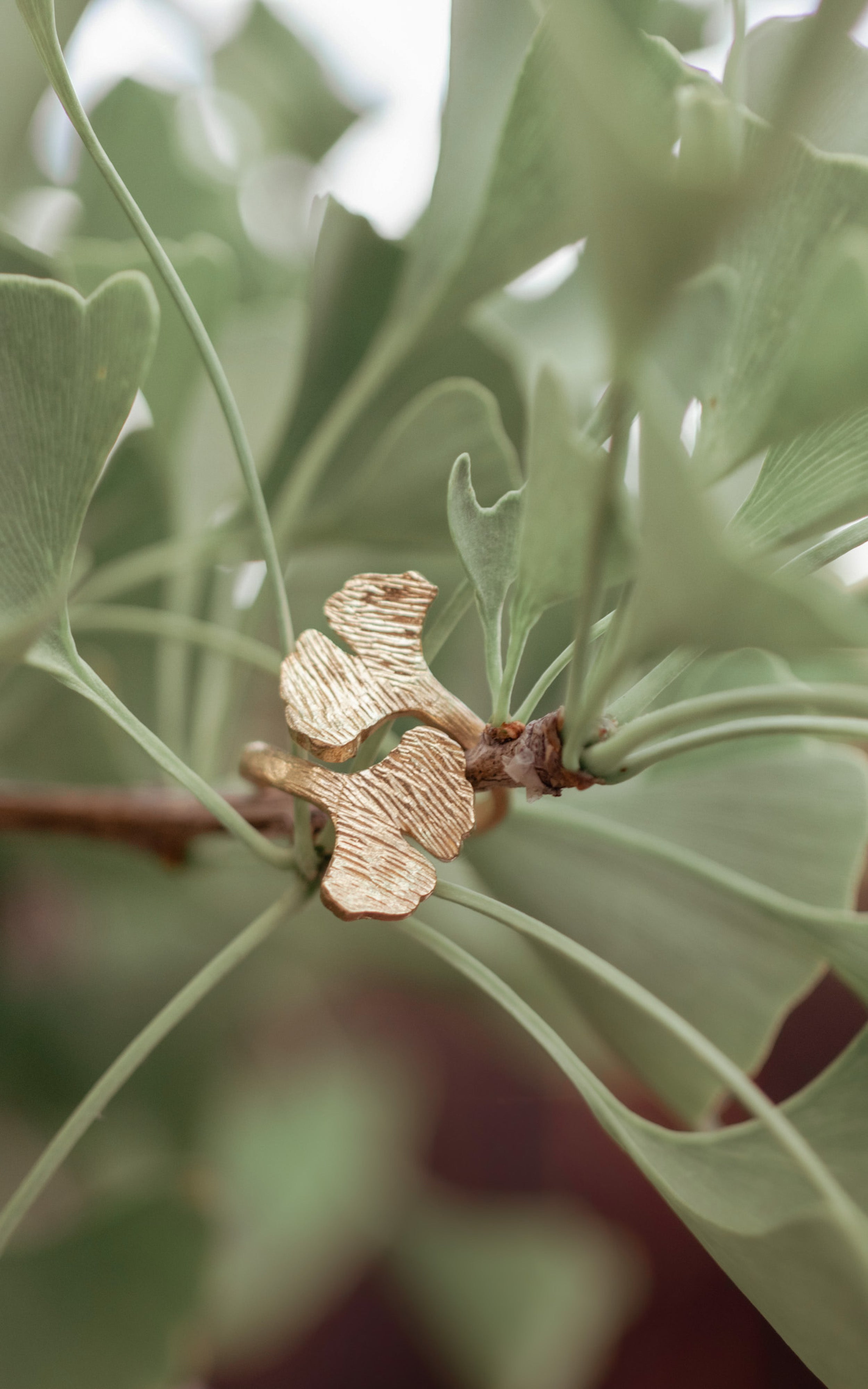 Ginko Leaves Ring