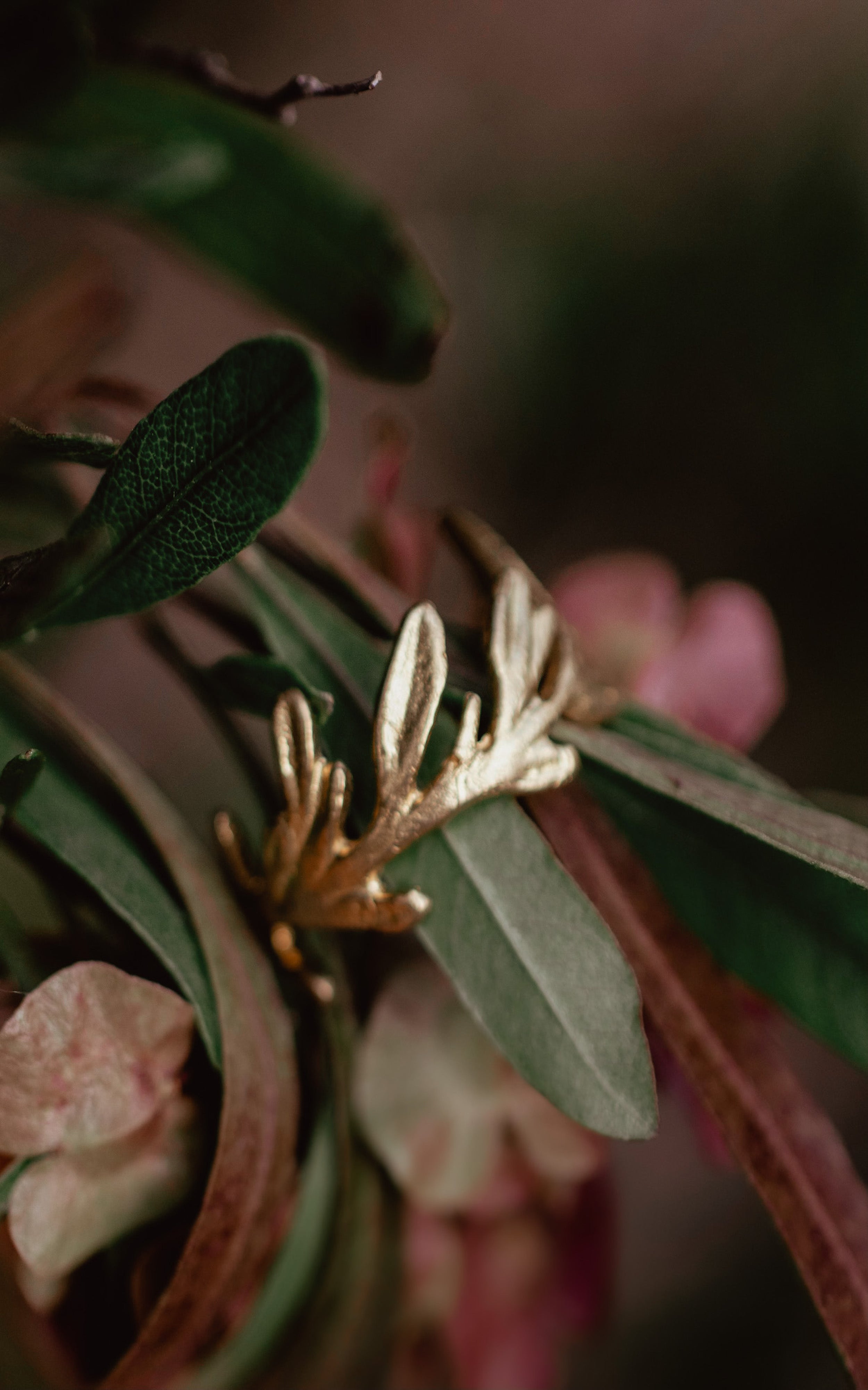 Olive Branch Ring