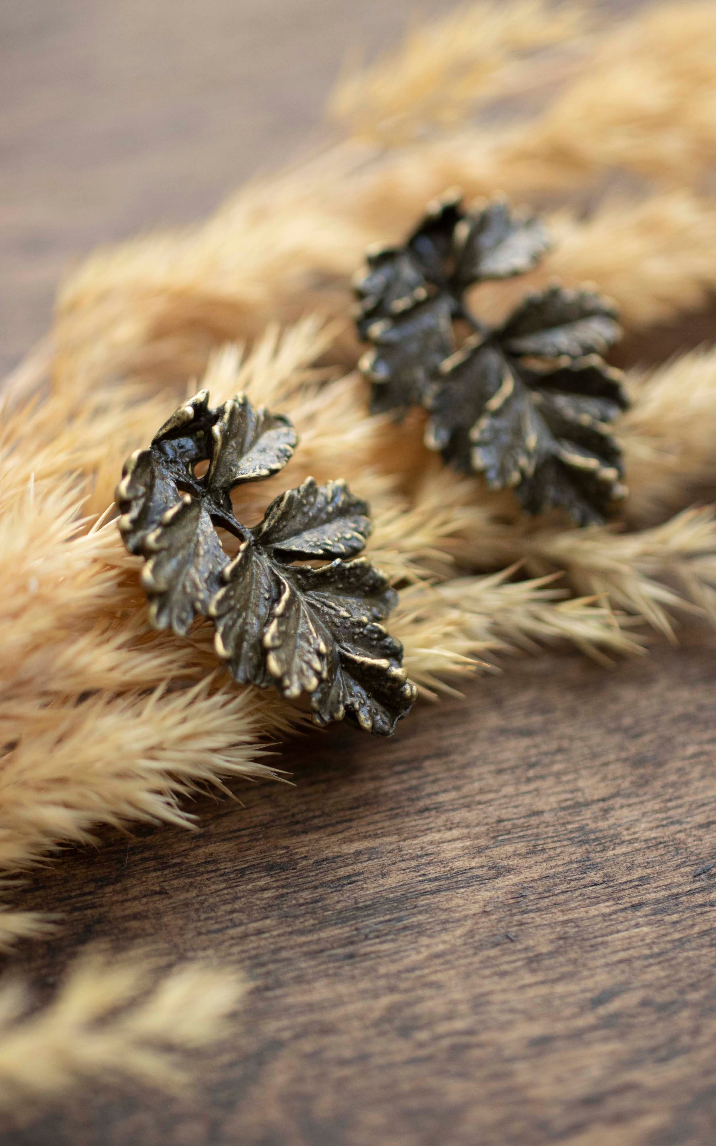 Forest Ferns