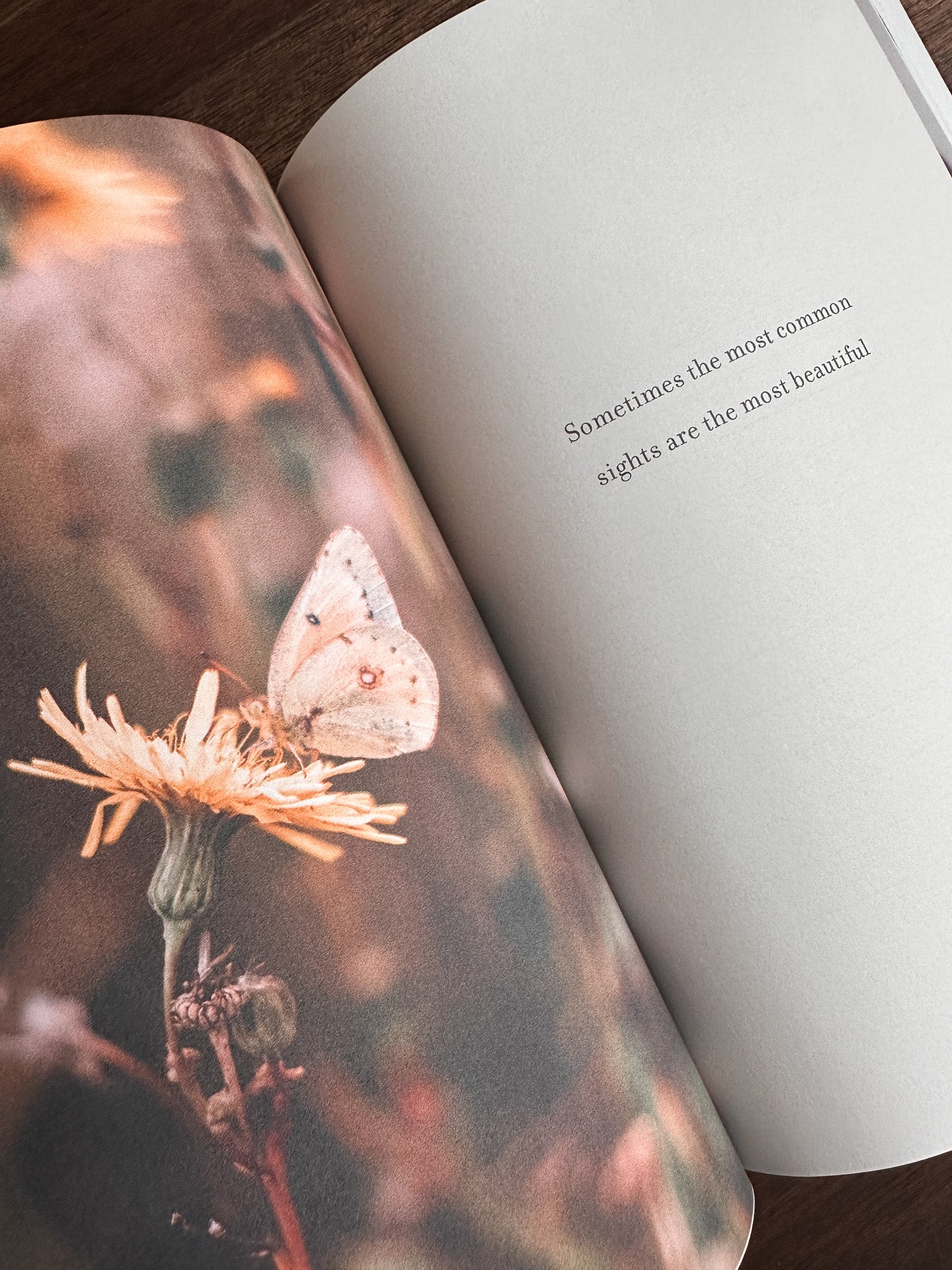 Finding Beauty in the Mundane