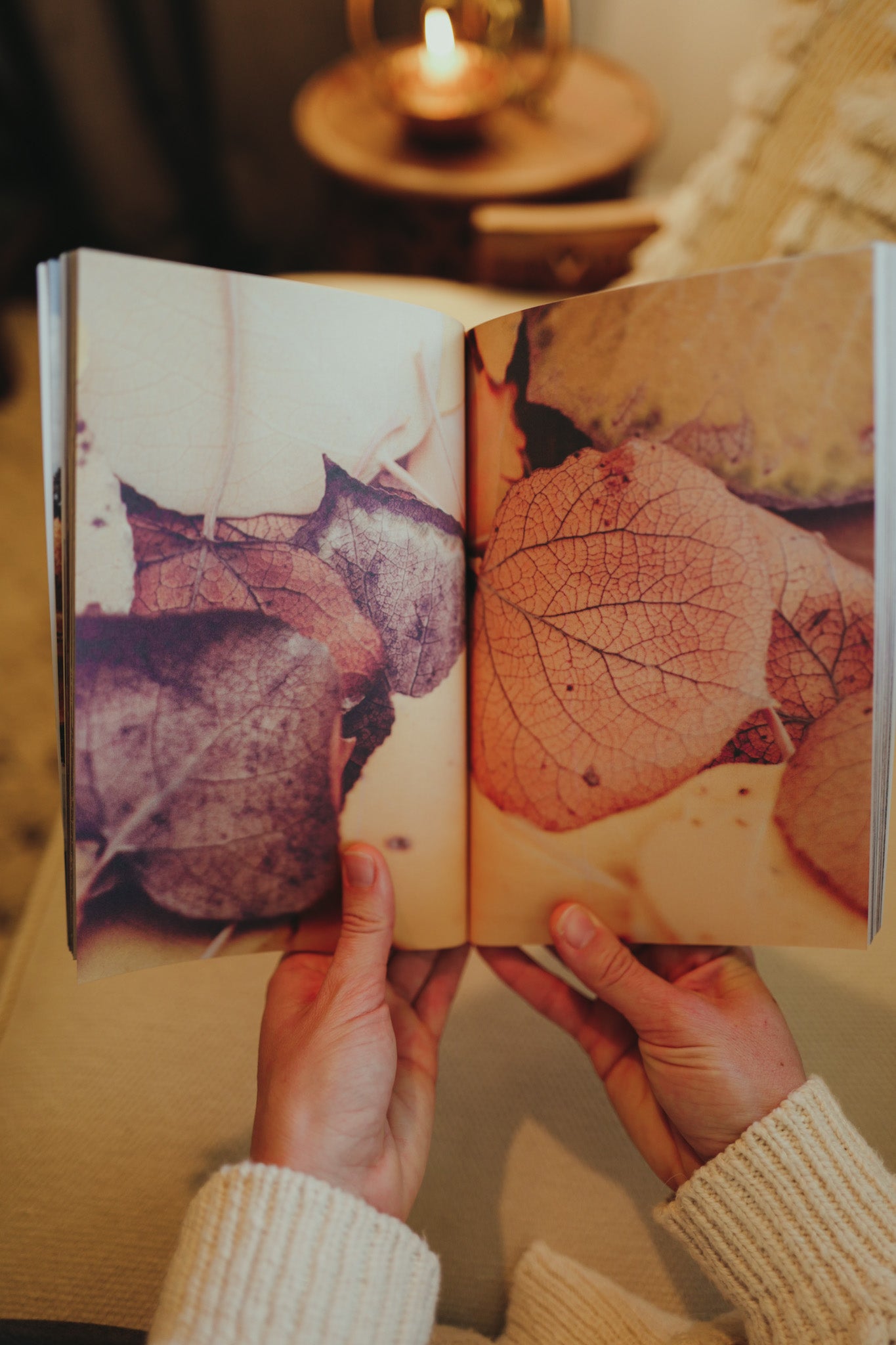 Embracing Autumn
