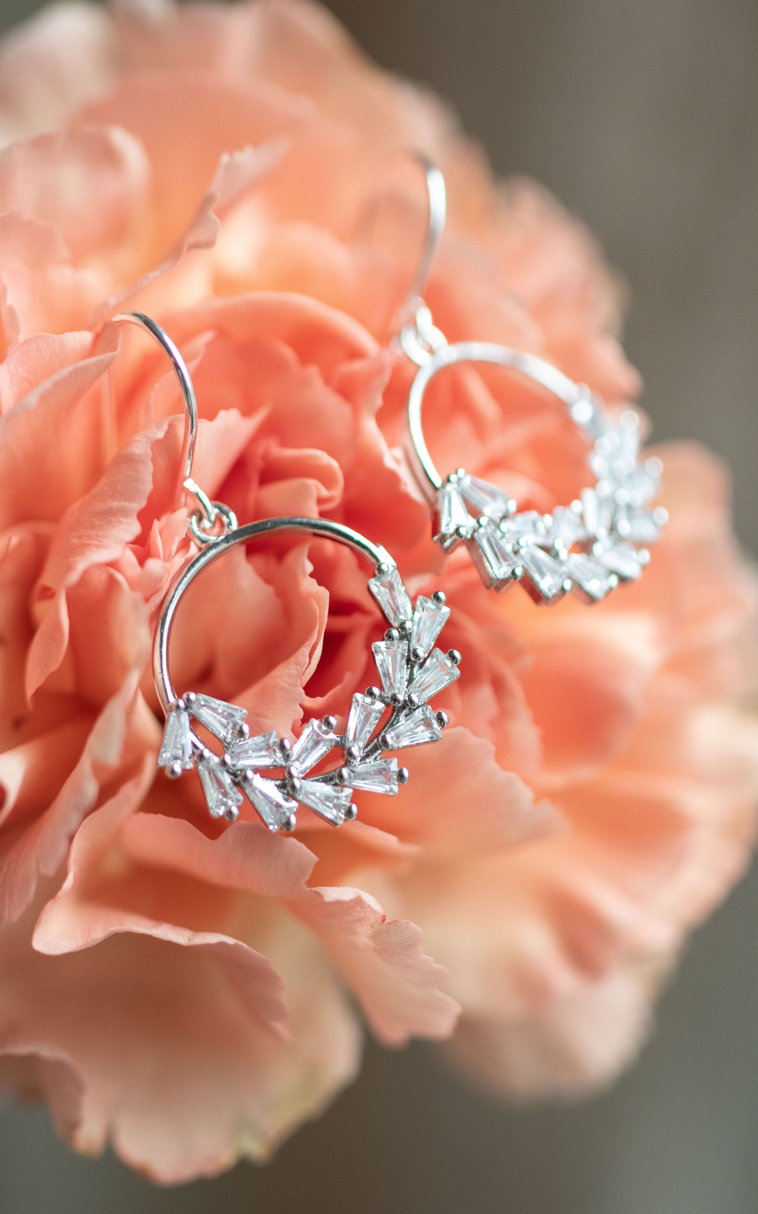 beautifulwreathsilver