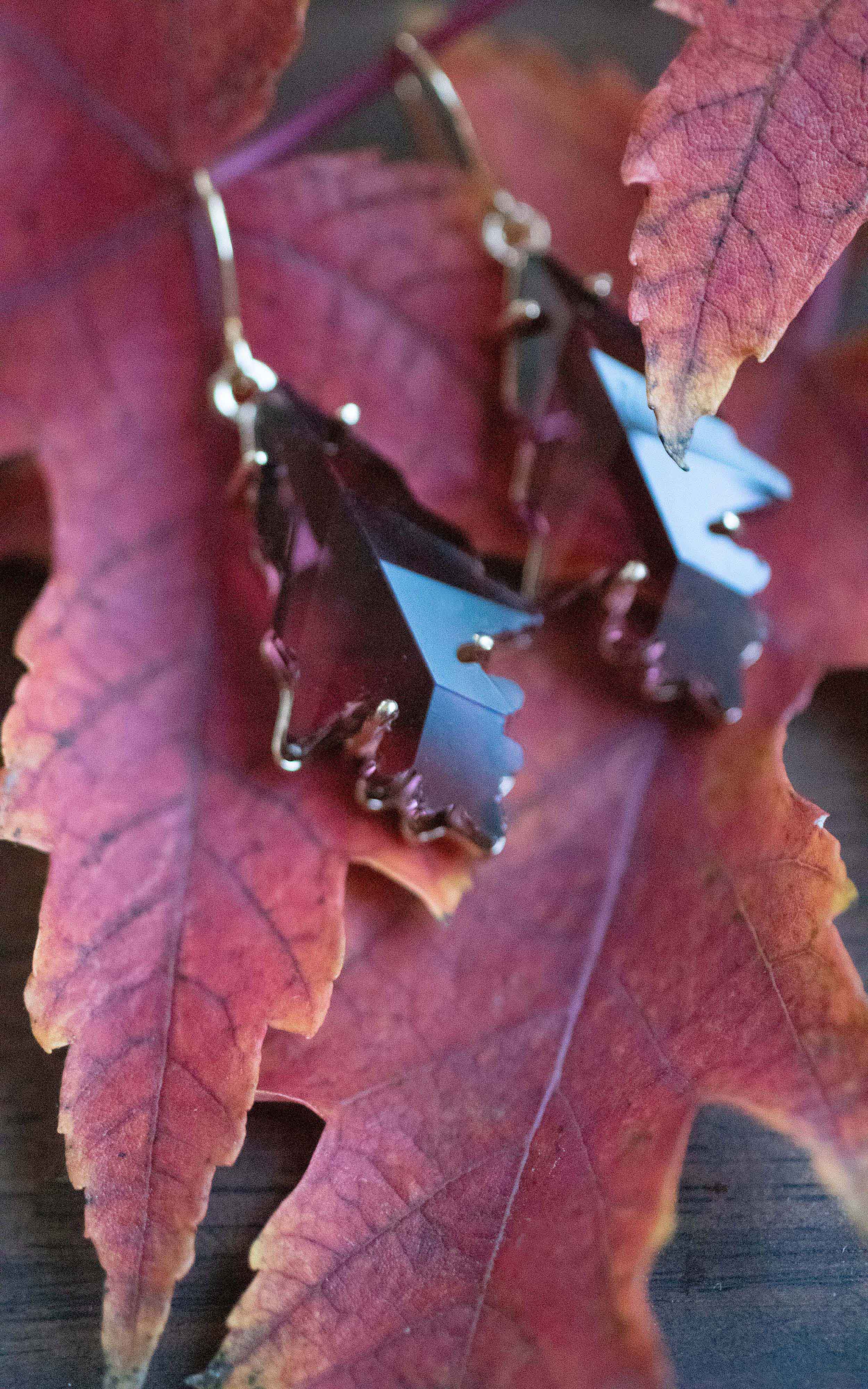 stunningautumnleaves3
